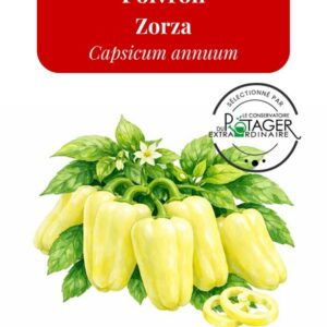 Poivron Zorza
