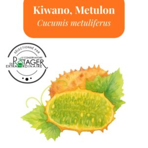 Kiwano, Metulon