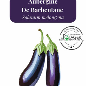 Aubergine De Barbentane