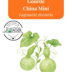 Gourde China Mini