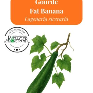 Gourde Fat Banana