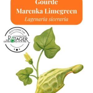 Gourde Marenka Limegreen