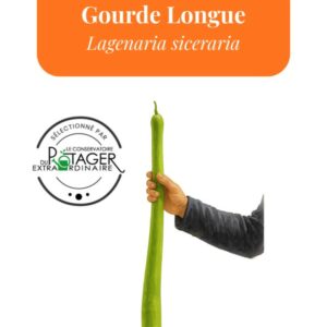 Gourde Longue