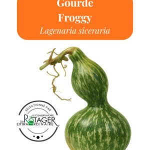 Gourde Froggy