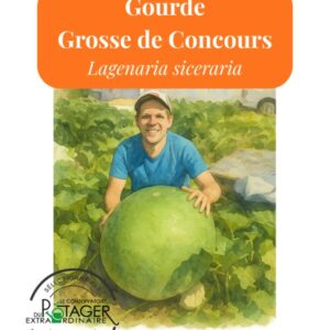 Gourde Grosse de Concours