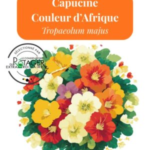 Capucine Couleur d'Afrique
