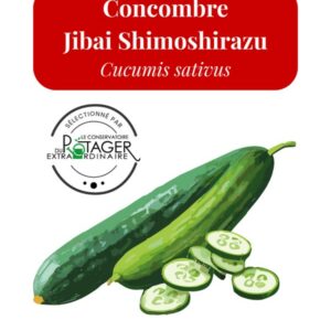 Concombre Jibai Shimoshirazu
