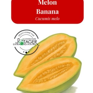 Melon Banana