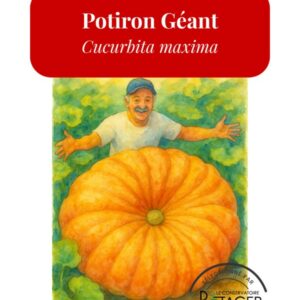 Potiron Géant