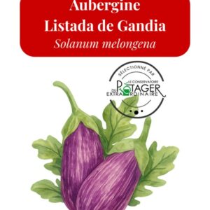 Aubergine Listada de Gandia