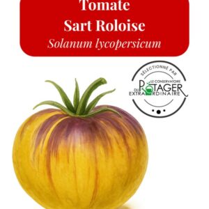 Tomate Sart Roloise